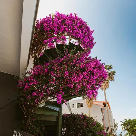 Horizon Hotel